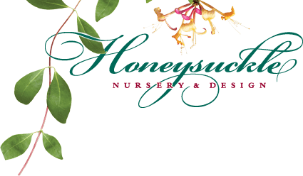 Honeysuckle Nursery & Design