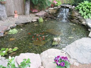 Water Features