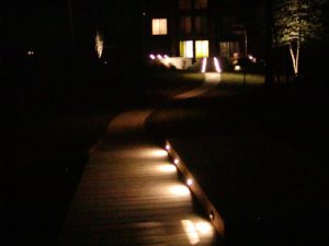 Landscape Lighting on Walkway