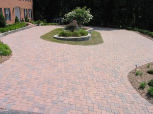 Guide to Choosing Trees for Parking Lots and Other Paved Areas