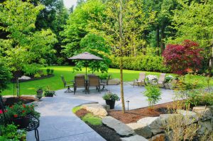 5 Common Landscape Design Issues and How to Fix Them