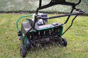 3 Tips for Winter Lawn Care 