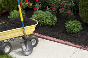 It’s Almost Time to Start Mulching!