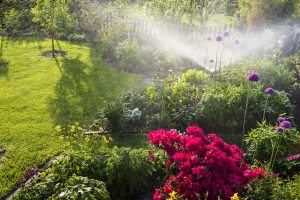 5 Reasons to Install an Irrigation System this Spring