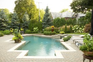 Getting Rid of Algae in Your Swimming Pool