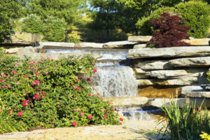 Cool Features for Your Pond