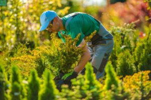 Residential Landscape Contractor