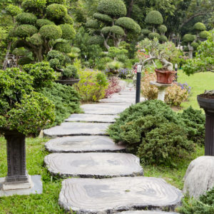 Why You Should Hire an Upscale Landscaping Service to Create Your Landscape