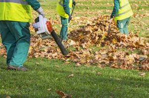 leaf removal service using a leaf blower