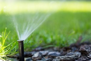 irrigation system spraying water on a front lawn