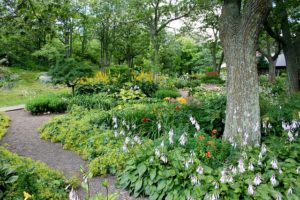 Why You Should Leave Landscape Design to Professionals