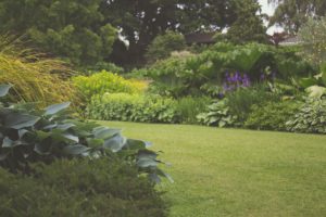 residential landscape maintenance