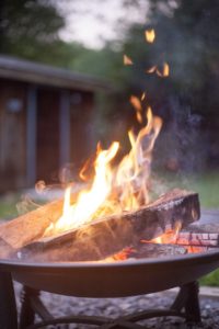 firepit honeysuckle nursery and design