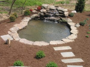 honeysuckle nursery and design water features