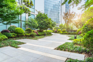 Honeysuckle Nursery Concrete Paver Walkway