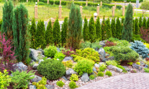 Honeysuckle Design Professional Landscapers