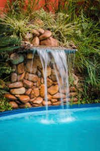 Honeysuckle Nursery Water Features