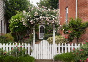 Honeysuckle Nursery Small Outdoor Space