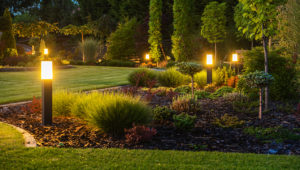 Honeysuckle Nursery & Design Outdoor Landscape Lighting