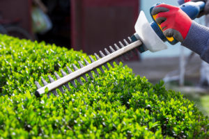 Honeysuckle Nursery Professional Landscape Maintenance for Commercial Properties