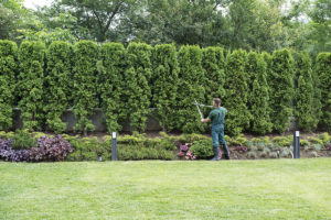 Honeysuckle Nursery & Design Professional Landscape Maintenance Is Crucial for Businesses