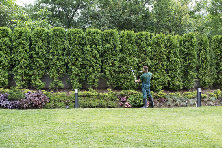 Honeysuckle Nursery & Design Professional Landscape Maintenance Is Crucial for Businesses