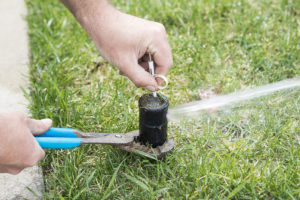 Honeysuckle Winterizing Your Sprinkler System