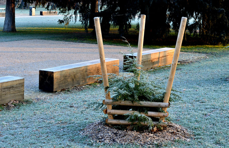 Honeysuckle Nursery Winter Yard Maintenance